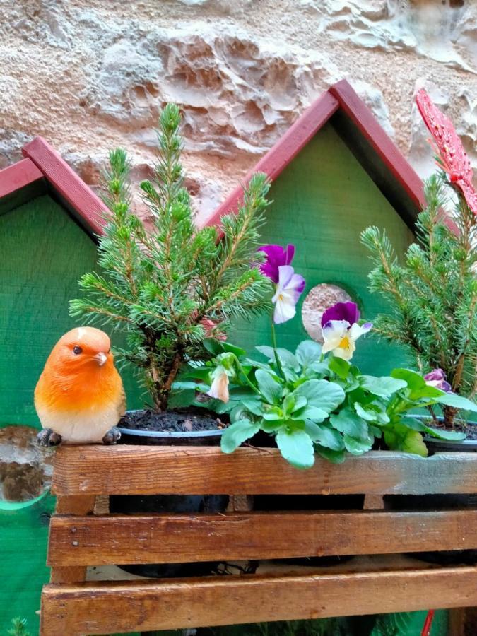 Dimora San Severino Spello Dış mekan fotoğraf